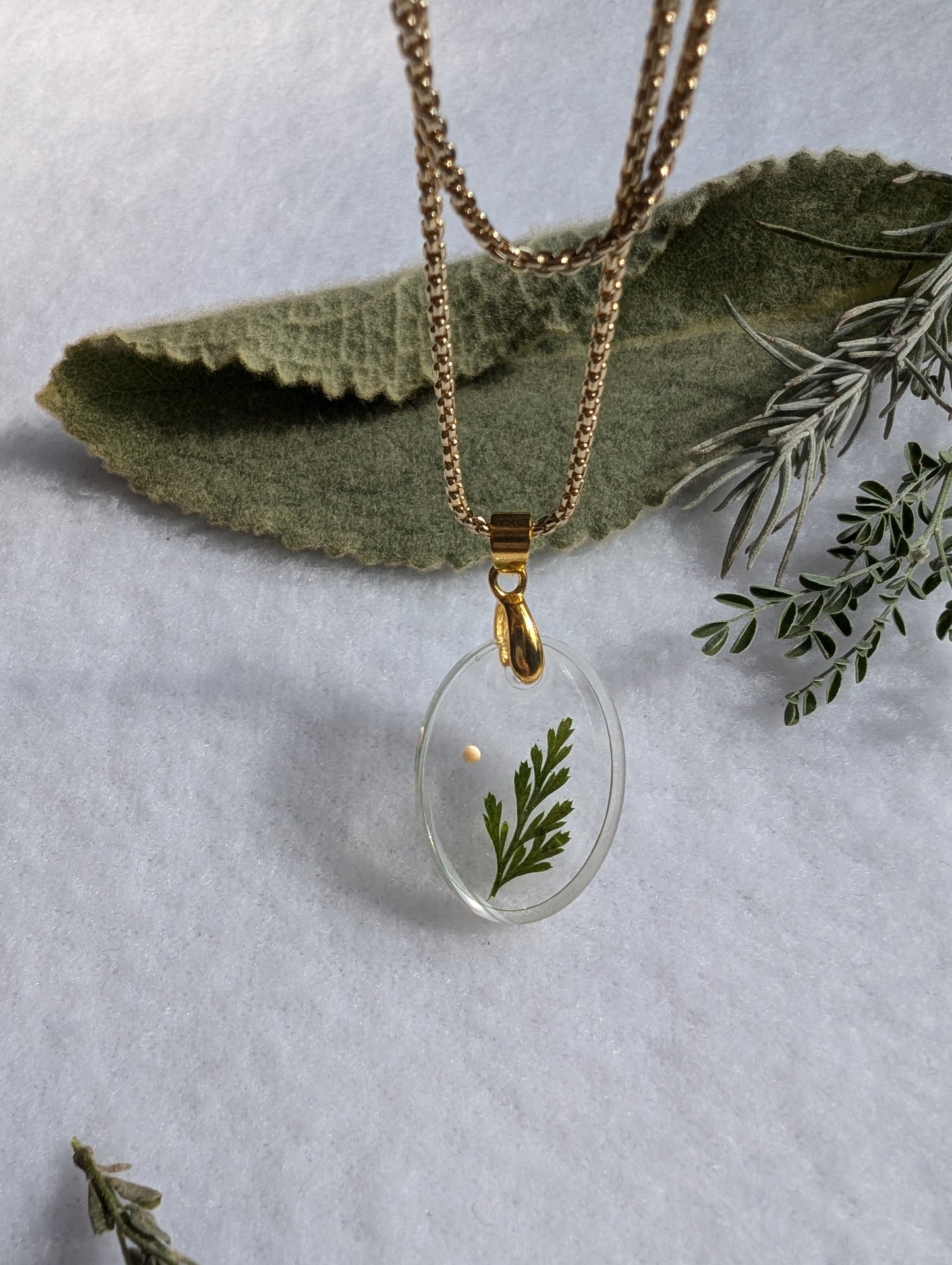Small oval mustard seed pendant with single leaf branch on a long gold box chain