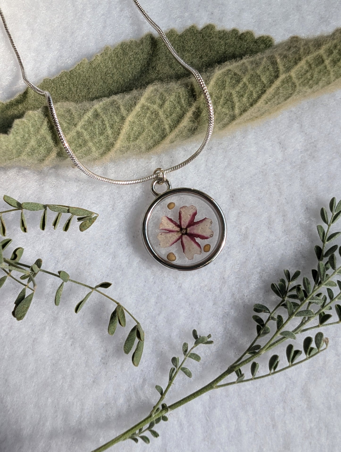Silver mustard seed necklace with real burgundy and white flower on an adjustable silver chain