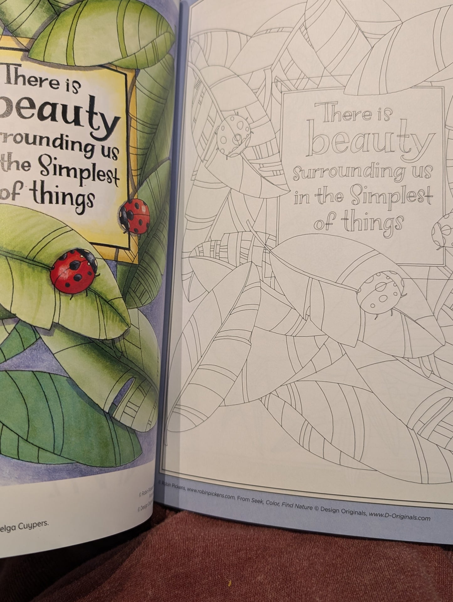 Coloring Book - Seek & Find Nature