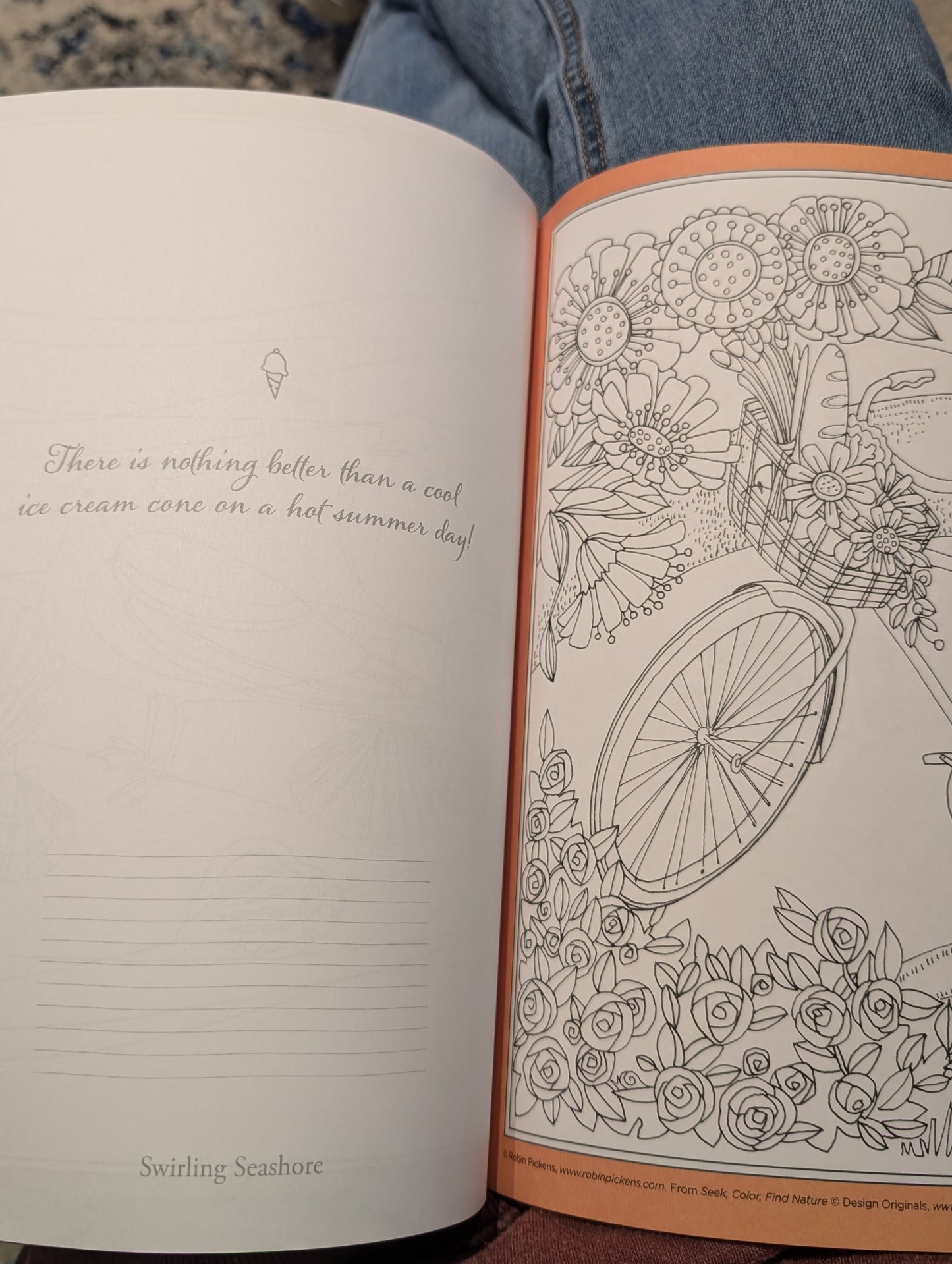 Coloring Book - Seek & Find Nature