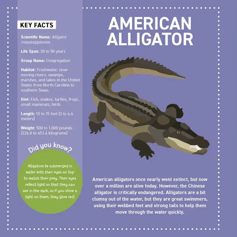 Activity Book - My Sticker Paintings: Reptiles